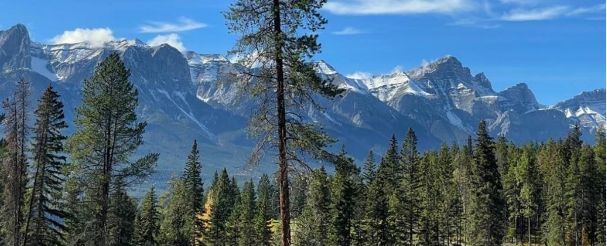 THE MOUNTAINS FROM CANMORE ALBERTA