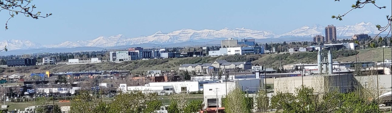 OGDEN CALGARY FROM GOOGLE