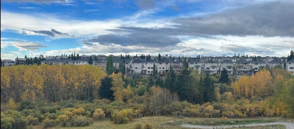 ROYAL OAK CALGARY