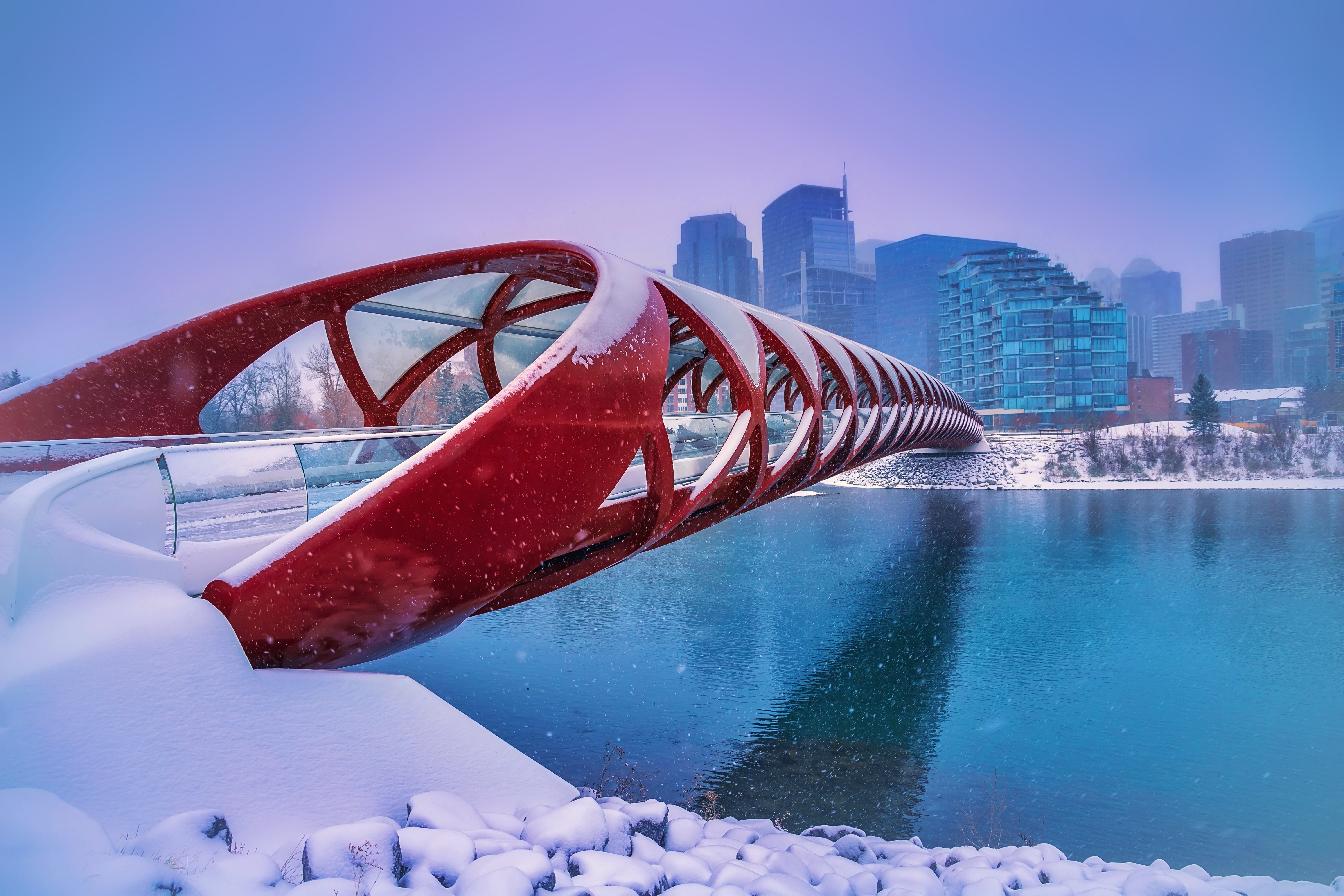 calgary winter peacebridge