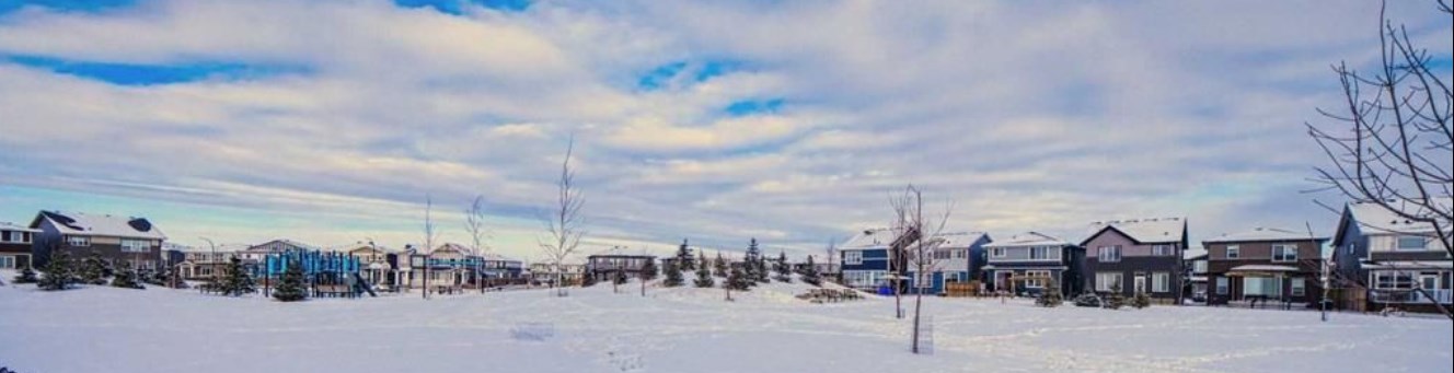 WINTERTIME IN CARRINGTON NORTH